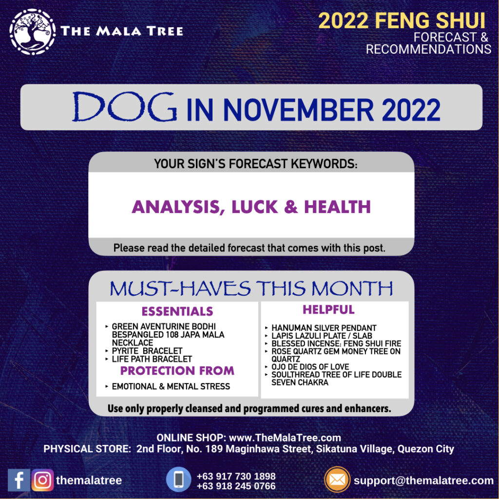 The Mala Tree Crystal Shop's November 2022 Feng Shui Forecast for the Dog.