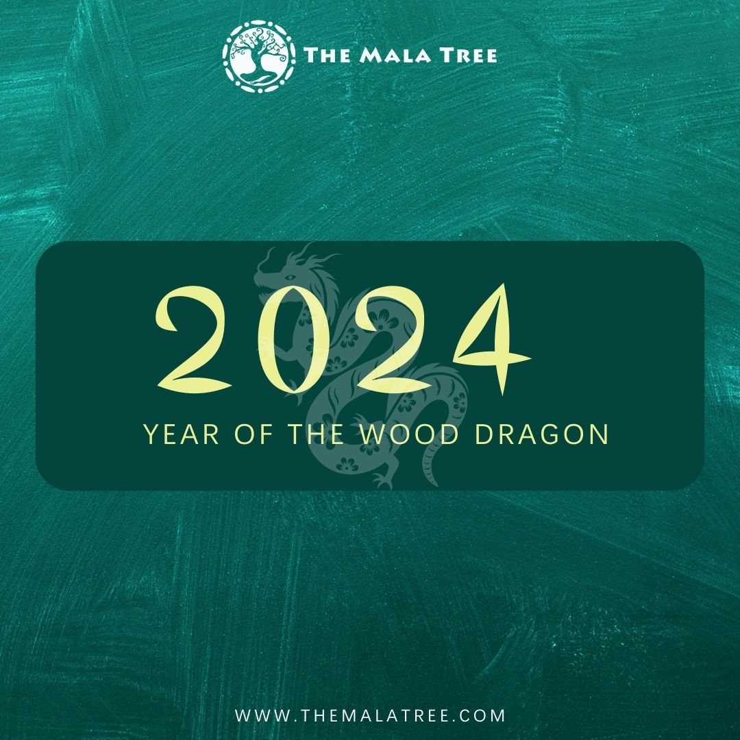 2024 Annual Feng Shui Forecast & Must-Haves for the 12 Animal Signs – Year of the Yang Wood Dragon